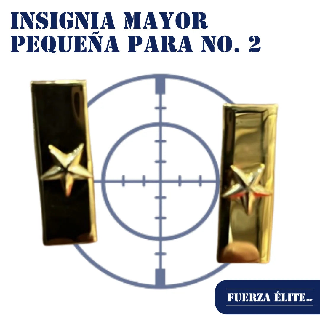 INSIGNIA OFICIAL MAYOR PEQUENA