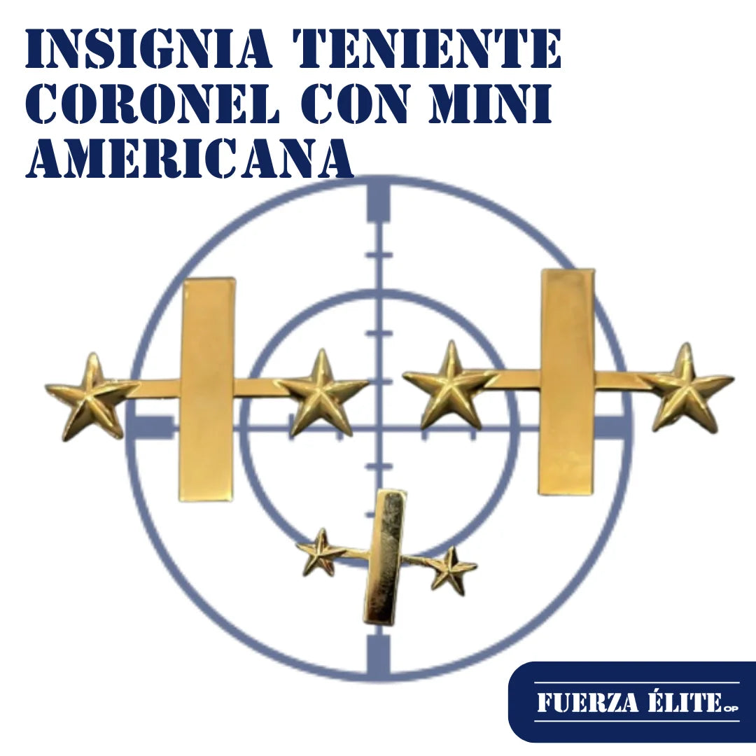 INSIGNIA NEWTELL TENIENTE CORONEL CON MINI