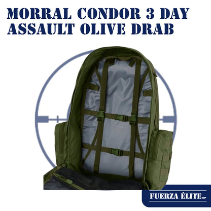 MORRAL CONDOR 3 DAY ASSAULT OLIVE DRAB 125-001