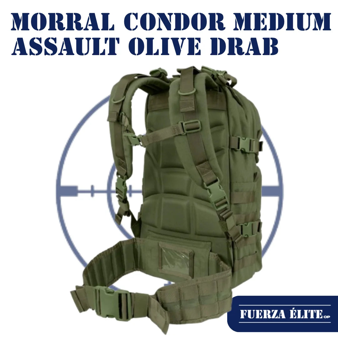 MORRAL CONDOR MEDIUM ASSAULT OLIVE DRAB REF 129-001
