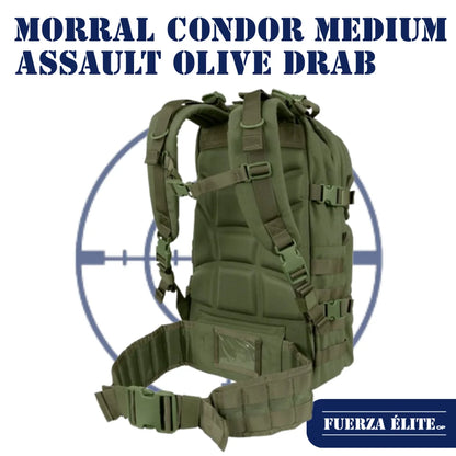MORRAL CONDOR MEDIUM ASSAULT OLIVE DRAB REF 129-001
